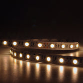 12V LED Tape Light – 5050 SMD – W Series | IP20 Indoor Flexible LED Strip Light