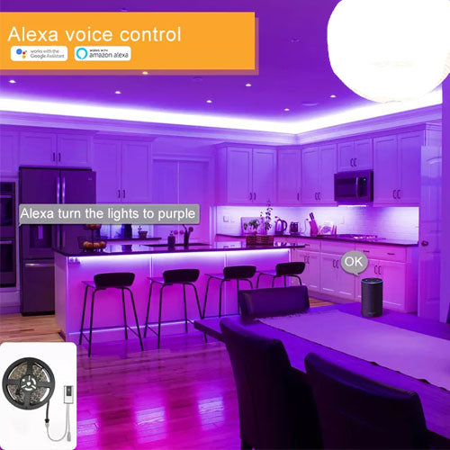 LED RGB Controller with Voice Command | Smart Strip Light Control | Alexa Compatible