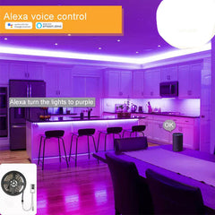 LED RGB Controller with Voice Command | Smart Strip Light Control | Alexa Compatible
