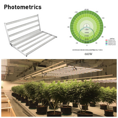 660W LED Grow Light, 0-10V Dimmable, AC 120-277V, Full Spectrum Indoor Plant Light | GLMB-660W