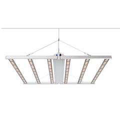 1000W LED Grow Light, 0-10V Dimmable, AC 120-277V, Indoor Plant Grow Lamp | GLMB-1000W-120V