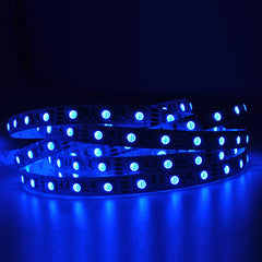 12V LED Tape Light – 5050 SMD – CL Series | IP20 Indoor Strip Light | Flexible Roll