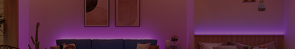 LED Plus